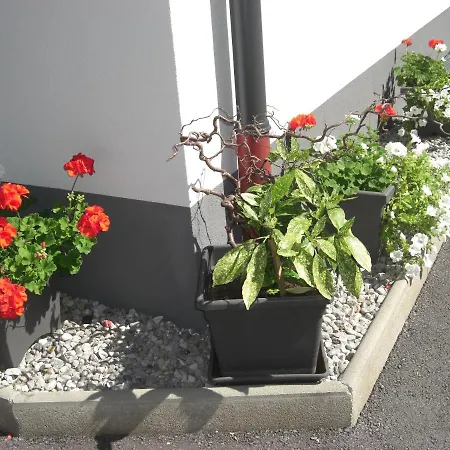 Gartenwohnung - Tanja Tipotsch