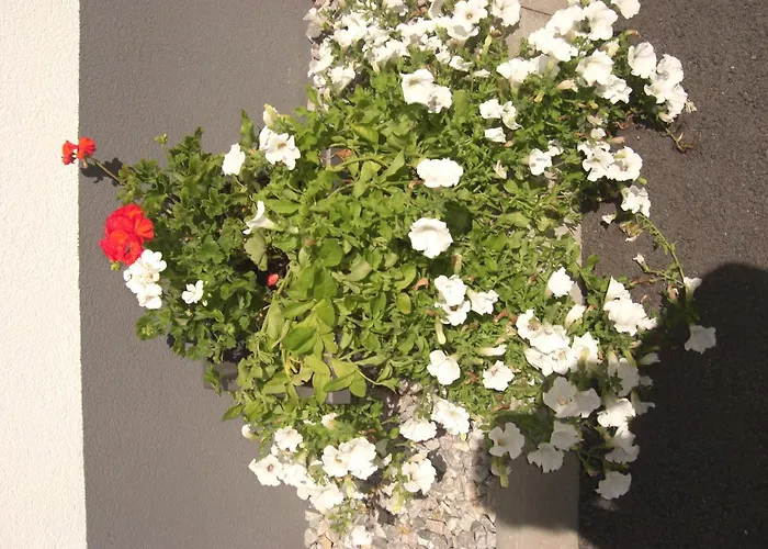 Gartenwohnung - Tanja Tipotsch