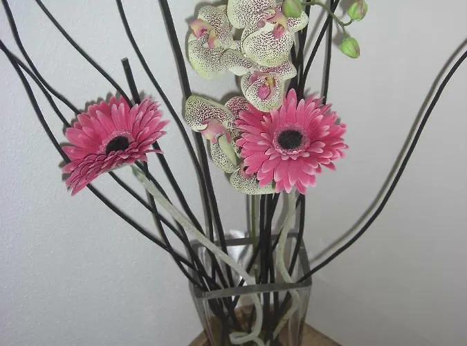 Gartenwohnung - Tanja Tipotsch Apartment Schwendau