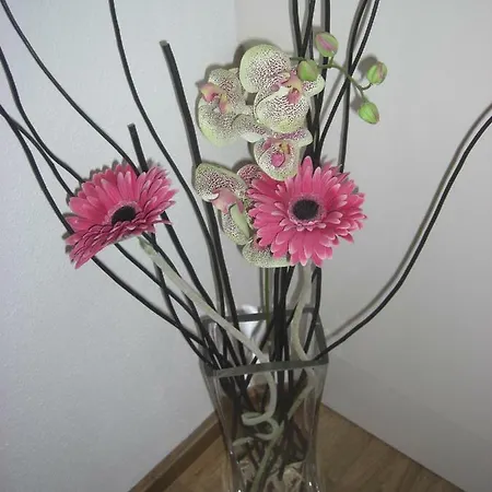 Gartenwohnung - Tanja Tipotsch Apartment Schwendau