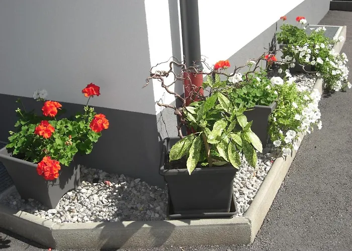 Gartenwohnung - Tanja Tipotsch